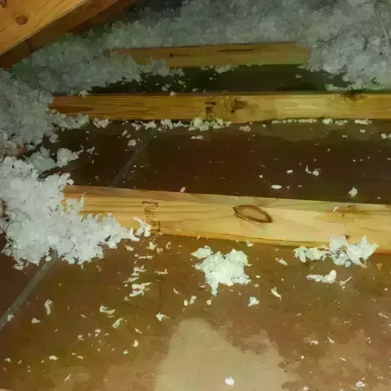 Attic Water Damage in Elizabethton, TN